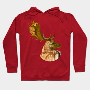 Fallow Buck Hoodie